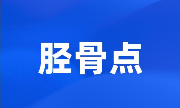 胫骨点