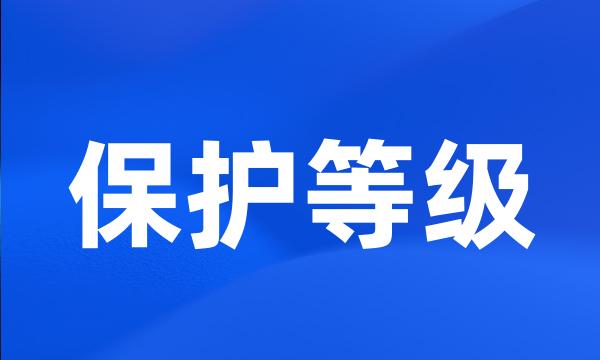 保护等级