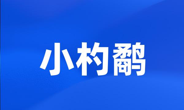 小杓鹬