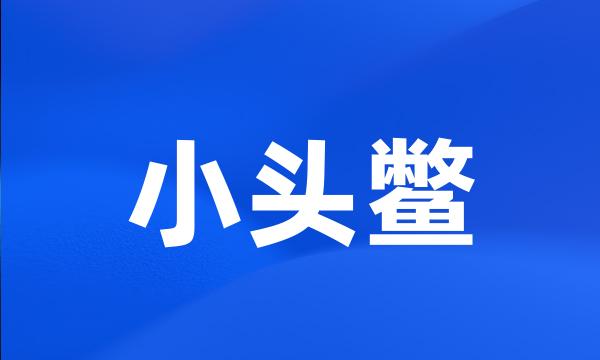 小头鳖