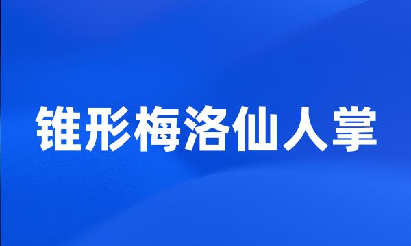 锥形梅洛仙人掌