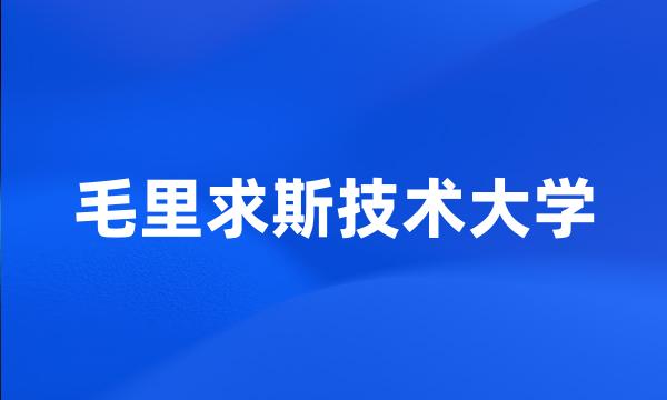 毛里求斯技术大学