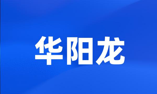 华阳龙