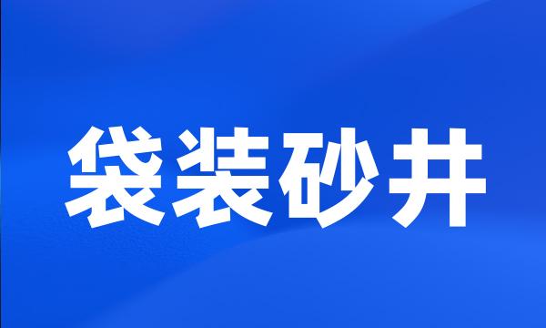 袋装砂井