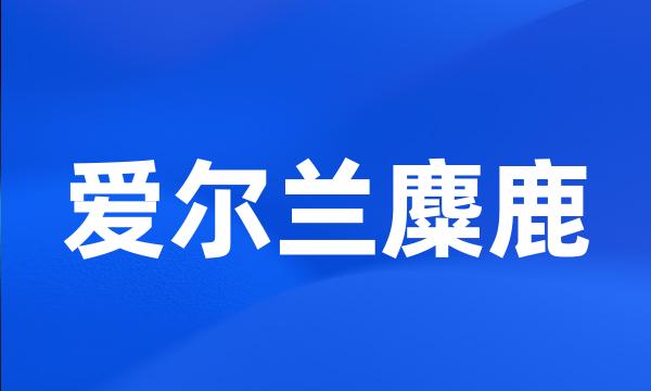 爱尔兰麋鹿