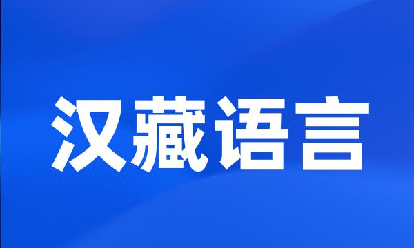 汉藏语言