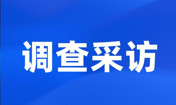 调查采访