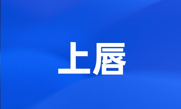 上唇