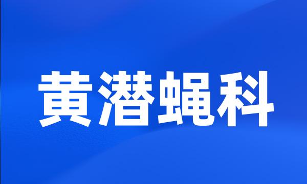 黄潜蝇科