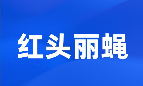 红头丽蝇