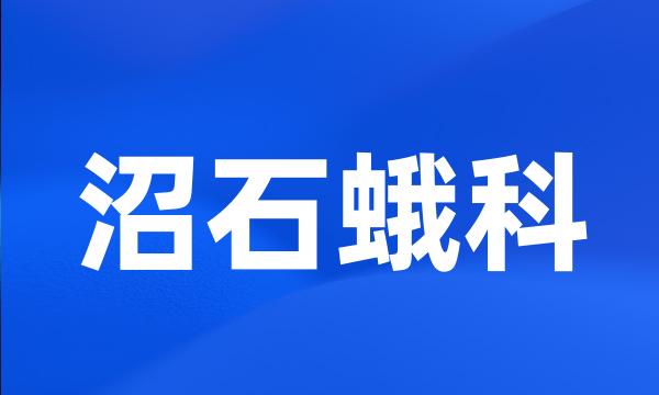 沼石蛾科