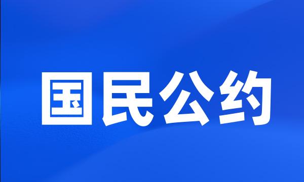 国民公约