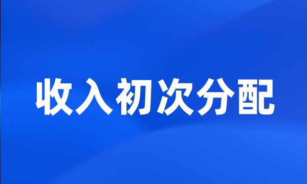 收入初次分配