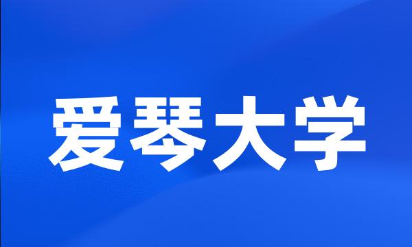 爱琴大学