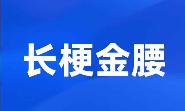 长梗金腰