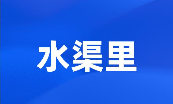 水渠里