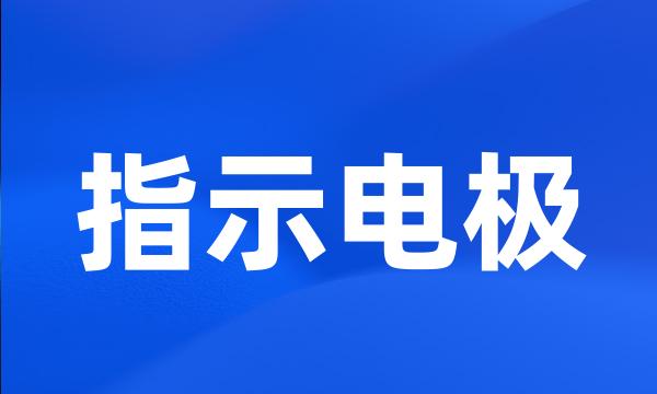 指示电极