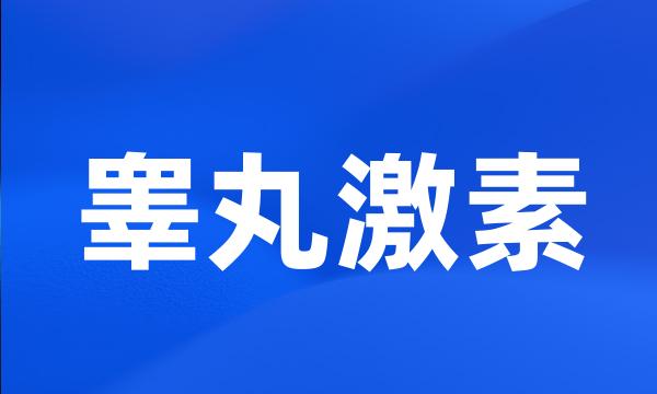 睾丸激素