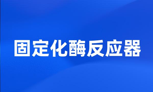 固定化酶反应器