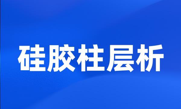 硅胶柱层析