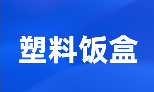 塑料饭盒