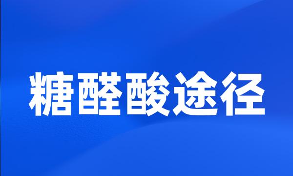 糖醛酸途径