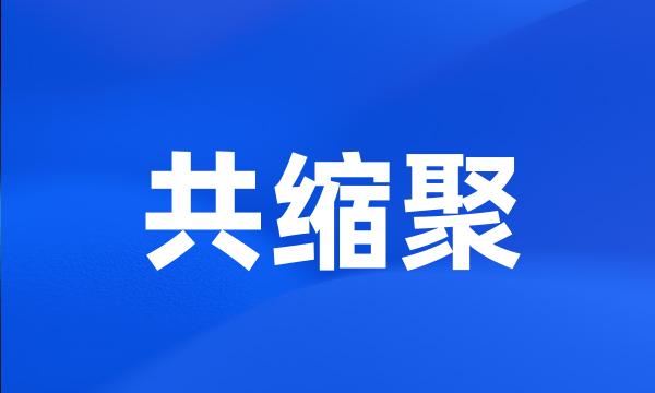 共缩聚