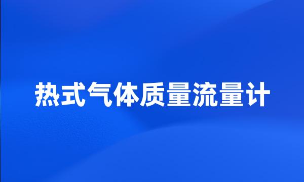 热式气体质量流量计