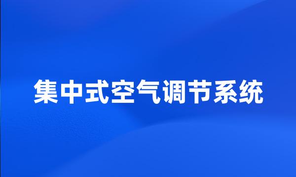 集中式空气调节系统