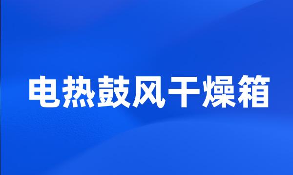 电热鼓风干燥箱