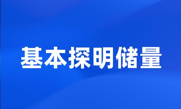 基本探明储量