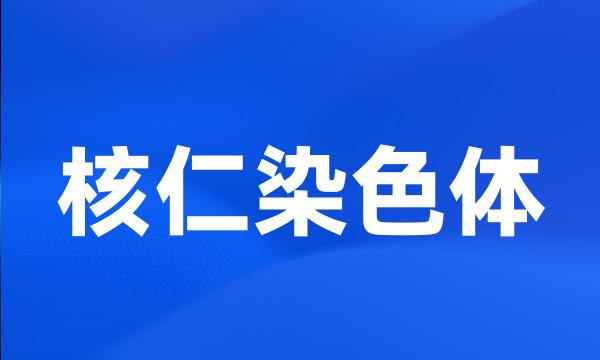 核仁染色体