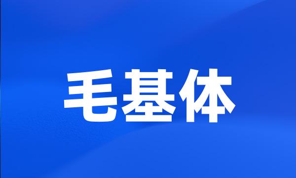 毛基体