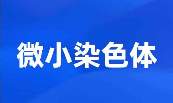 微小染色体