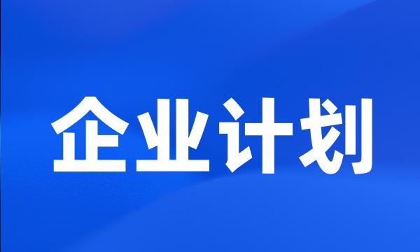 企业计划