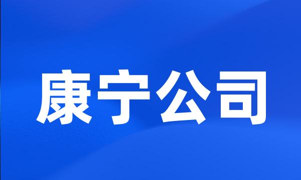 康宁公司