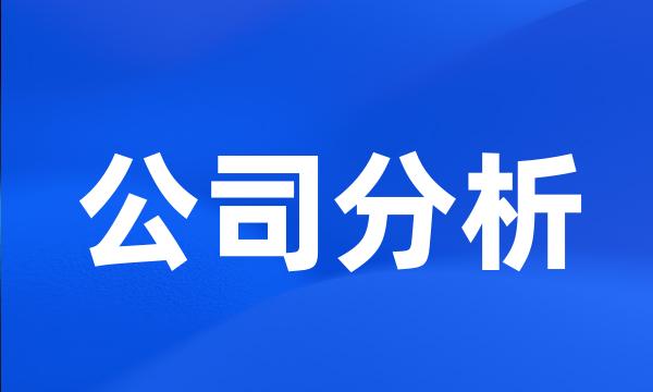 公司分析