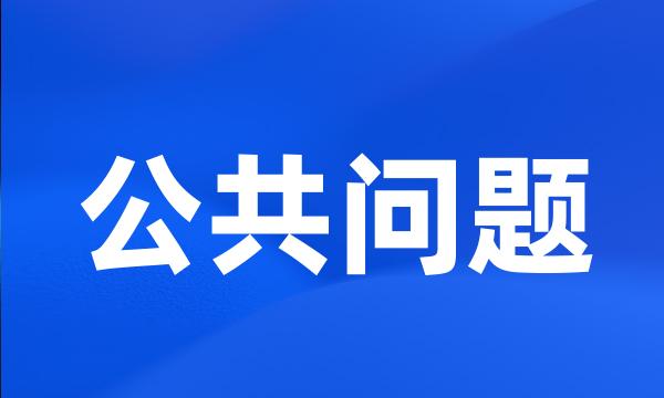 公共问题