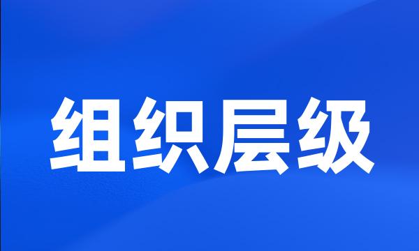 组织层级