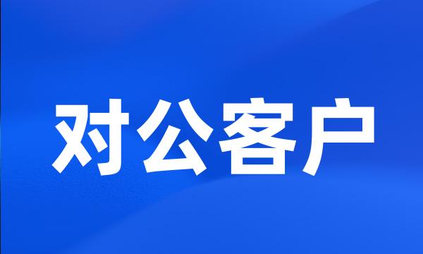 对公客户