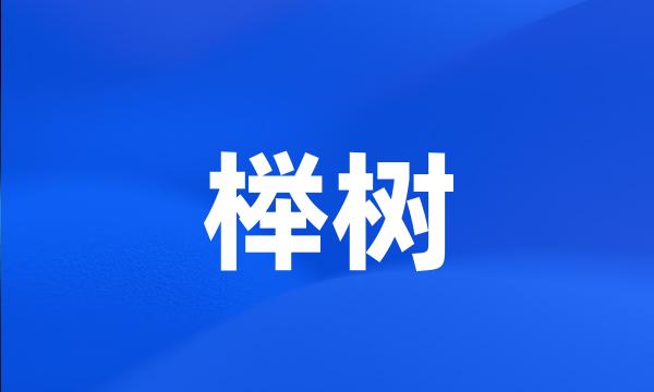 榉树