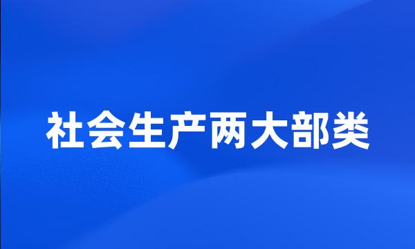 社会生产两大部类