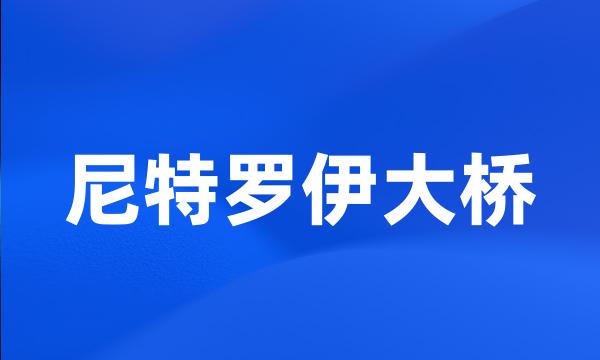 尼特罗伊大桥