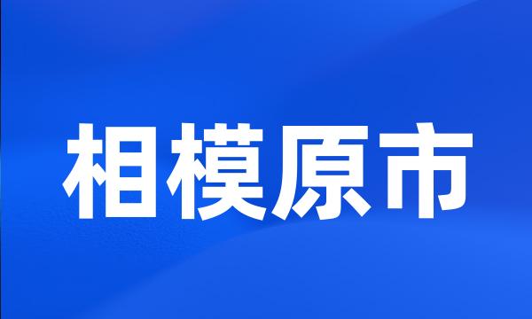 相模原市