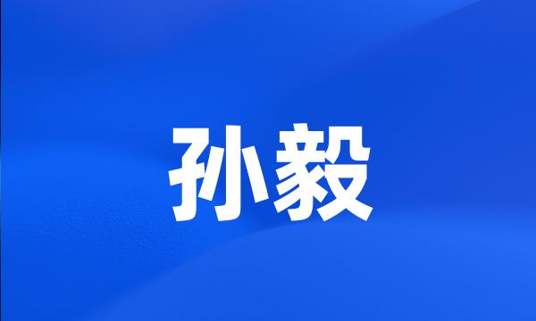 孙毅