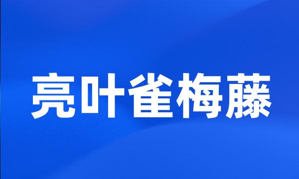 亮叶雀梅藤