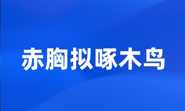 赤胸拟啄木鸟