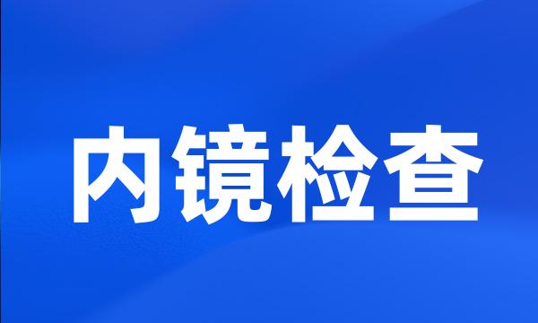 内镜检查