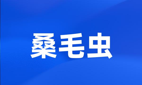 桑毛虫