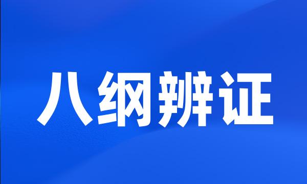 八纲辨证